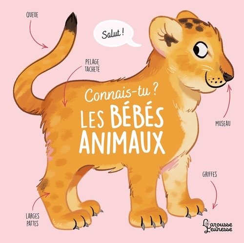 Couverture ebook de Connais-tu les bébés animaux ?, de Olivier Le Gall
