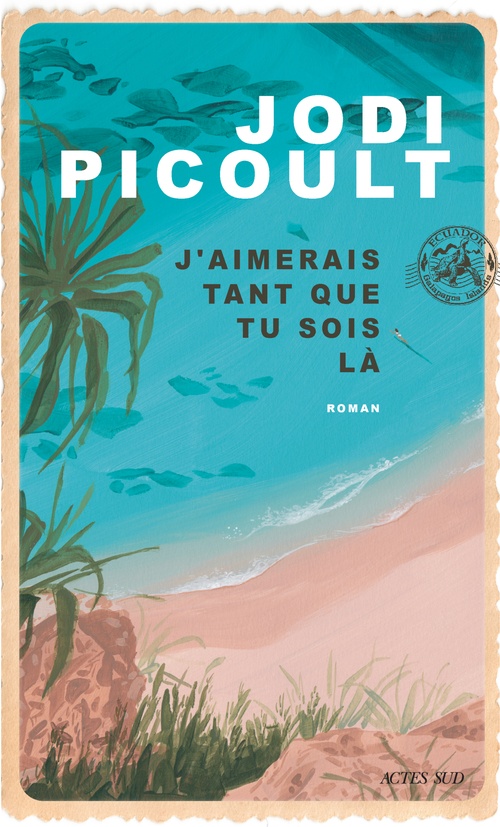 ebook cover of J´aimerais tant que tu sois là, by Jodi Picoult