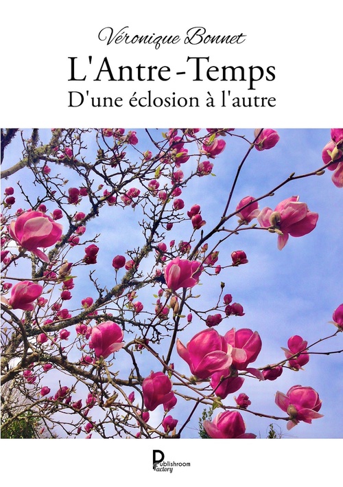ebook cover of L'Antre-Temps, by Véronique Bonnet