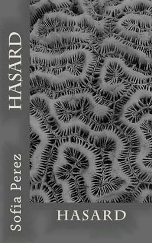 Couverture ebook de Hasard, de Sofia Perez