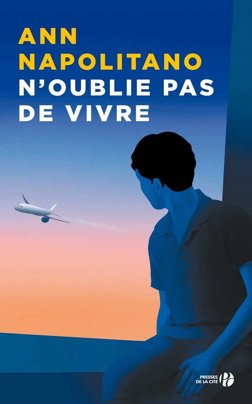 ebook cover of N'oublie pas de vivre, by Ann Napolitano