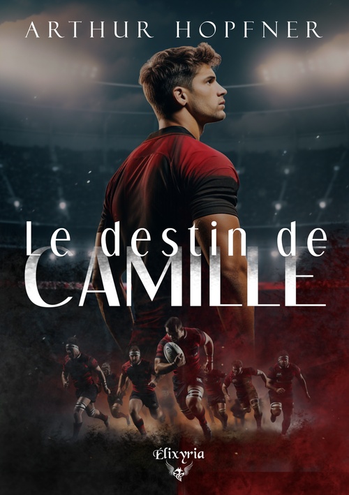 ebook cover of Le destin de Camille, by Arthur Hopfner