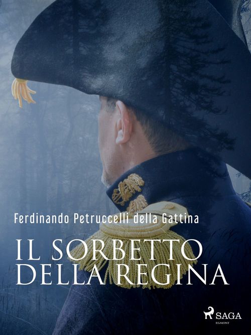 ebook cover of Il sorbetto della regina, by Ferdinando Petruccelli