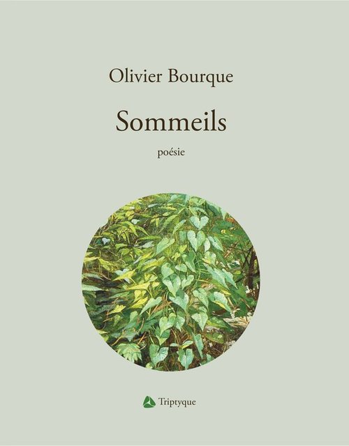 ebook cover of Sommeils, by Bourque Olivier