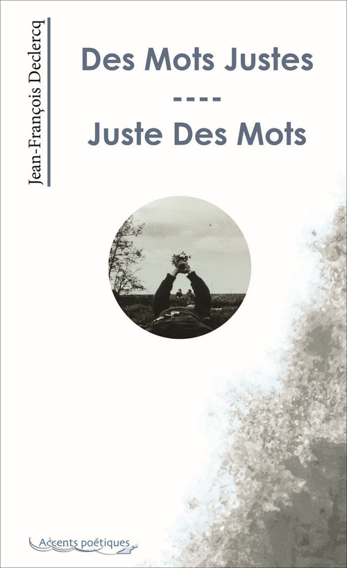 Couverture ebook de Des Mots Justes - Juste Des Mots, de Declercq Jf