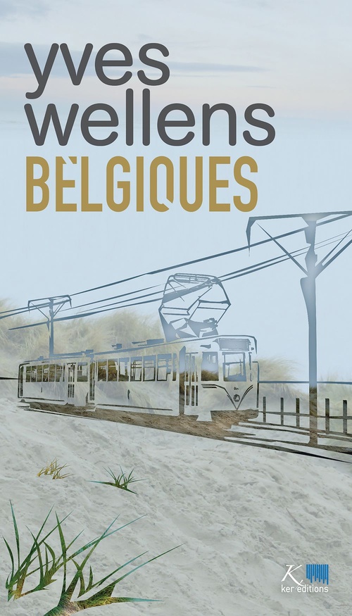ebook cover of Belgiques, by Yves Wellens