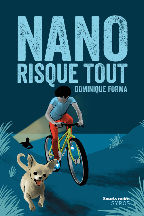 Couverture ebook de Nano risque tout, de Dominique Forma