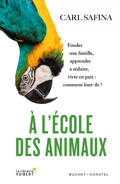 Couverture ebook de A l'Ecole des animaux, de Carl Safina