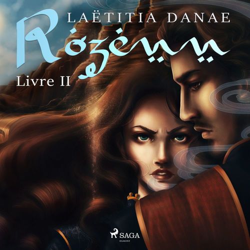 audiobook cover of Rozenn - Livre 2, by Laetitia Danae