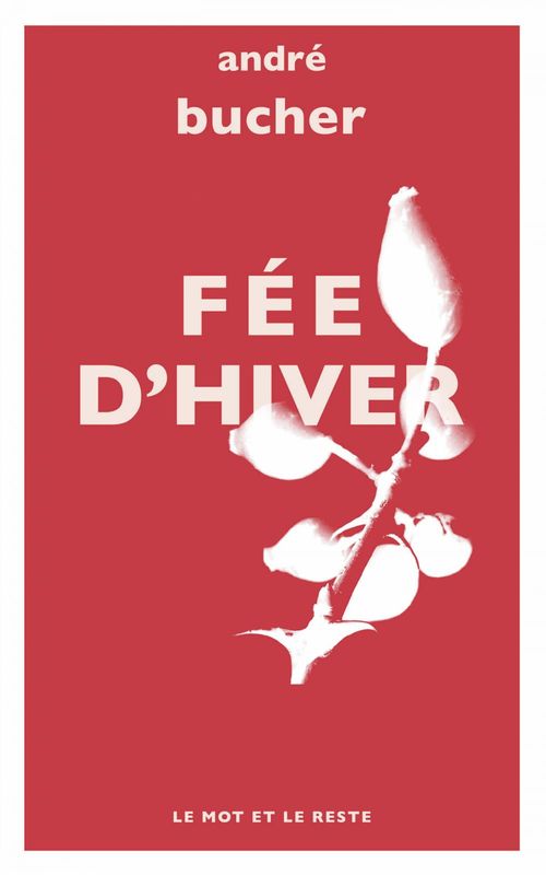 ebook cover of Fée d'hiver, by André Bucher