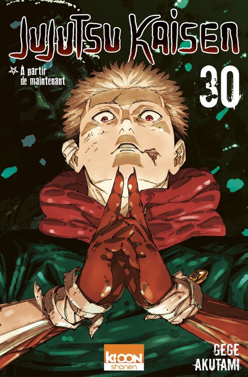 ebook cover of Jujutsu Kaisen T30, by Gege Akutami
