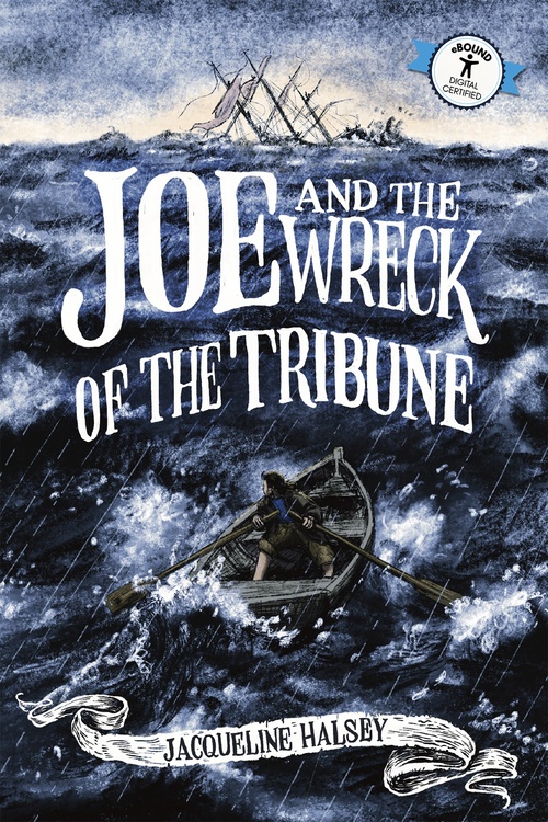 Couverture ebook de Joe & the Wreck of the Tribune, de Jacqueline Halsey