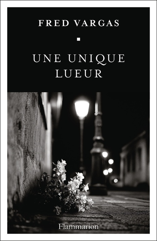 ebook cover of Une unique lueur, by Fred Vargas