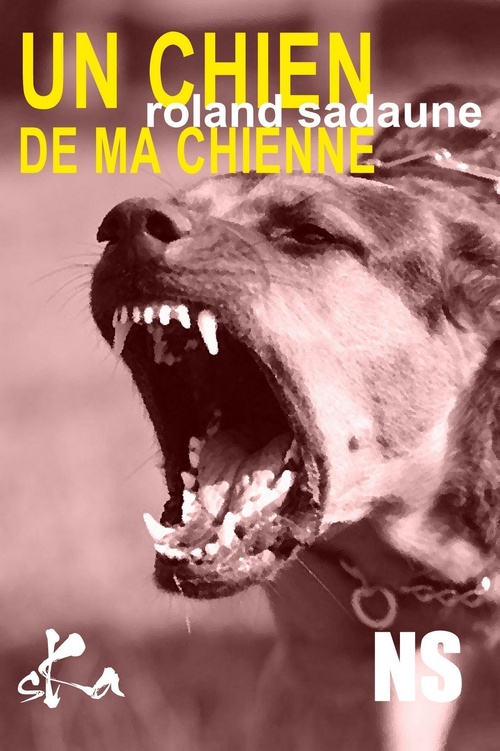 Couverture ebook de Un chien de ma chienne, de Roland Sadaune