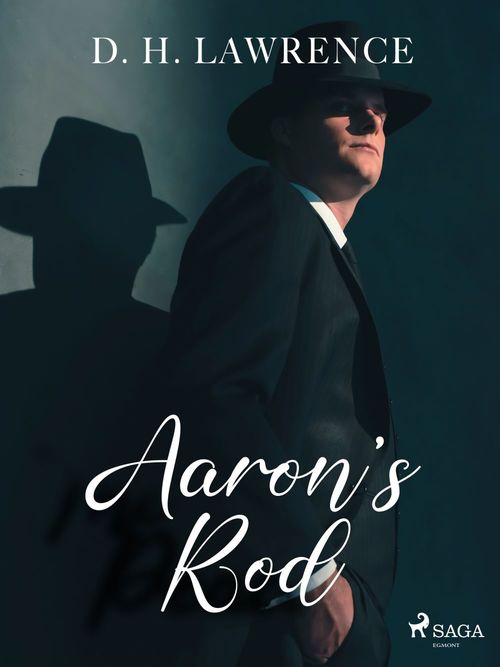 ebook cover of Aaron's Rod, by D.H. Lawrence
