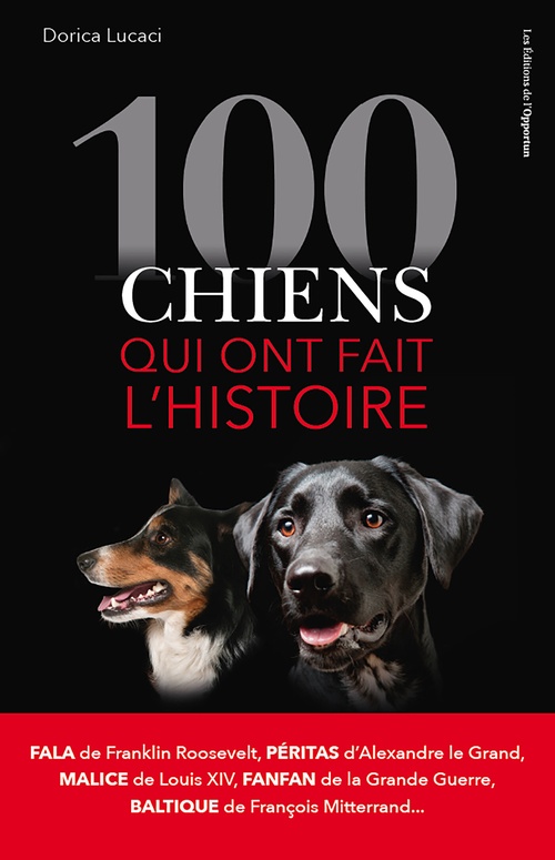 ebook cover of 100 chiens qui ont fait l'histoire, by Dorica Lucaci