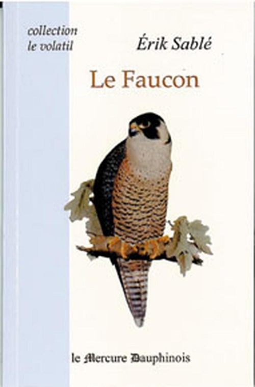 ebook cover of Le Faucon, by Erik Sablé