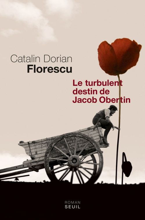 ebook cover of Le Turbulent Destin de Jacob Obertin, by Catalin Dorian Florescu