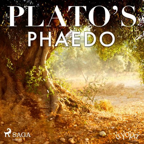 audiobook cover of Plato´s Phaedo, by -  Plato