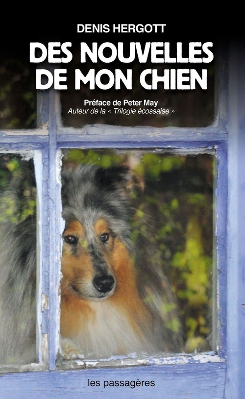 Couverture ebook de Des nouvelles de mon chien, de Denis Hergott