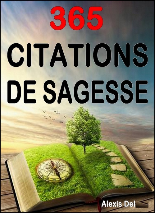 ebook cover of 365 citations de sagesse, by Alexis Delune