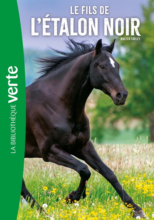 Couverture ebook de L'Etalon Noir 04 NED - Le Fils de l'Etalon Noir, de Walter Farley