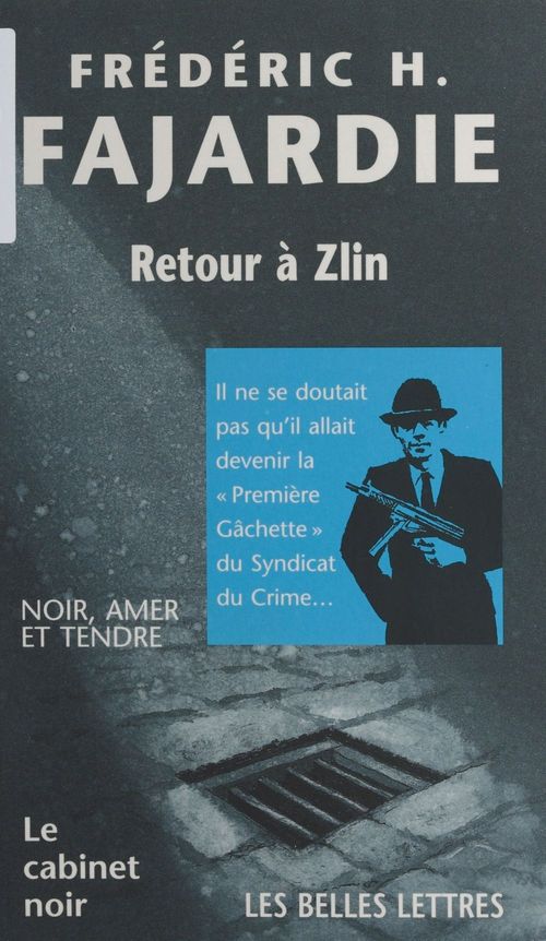 ebook cover of Retour à Zlin, by Frédéric-h. Fajardie