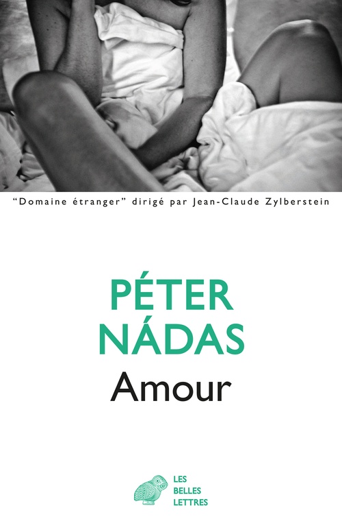 ebook cover of Amour, by Péter Nadas