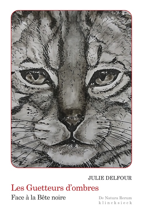 ebook cover of Les Guetteurs d'ombres, by Julie Delfour
