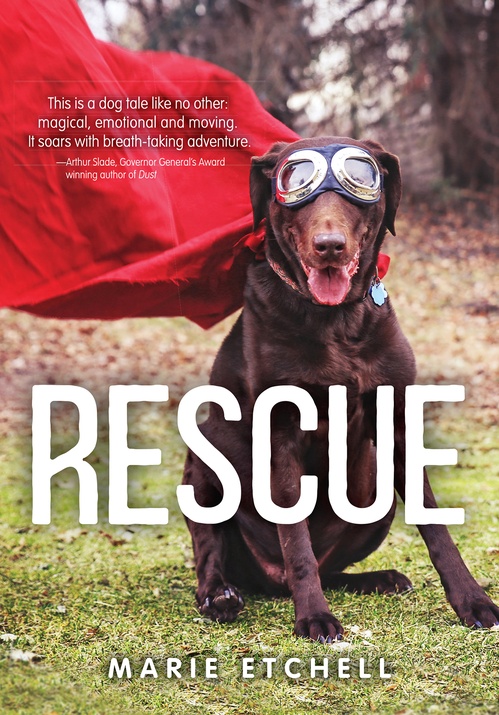 Couverture ebook de Rescue, de Marie Etchell