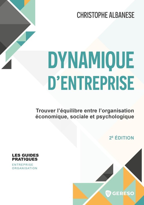 ebook cover of Dynamique d'entreprise, by Christophe Albanese