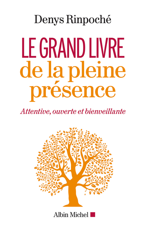 ebook cover of Le Grand Livre de la pleine présence, by Denys Rimpoché