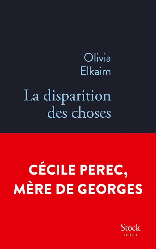 Couverture ebook de La disparition des choses, de Olivia Elkaim