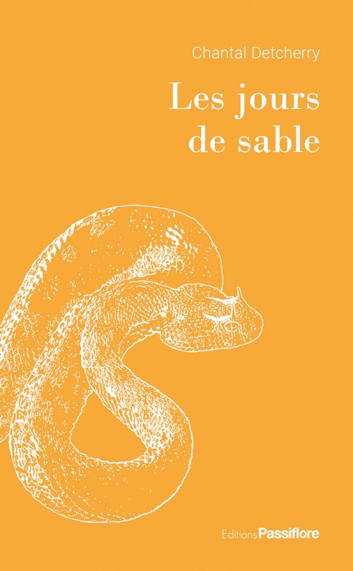 ebook cover of Les jours de sable, by Chantal Detcherry
