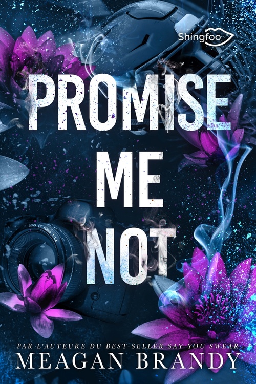 ebook cover of Promise me Not, by Meagan Brandy