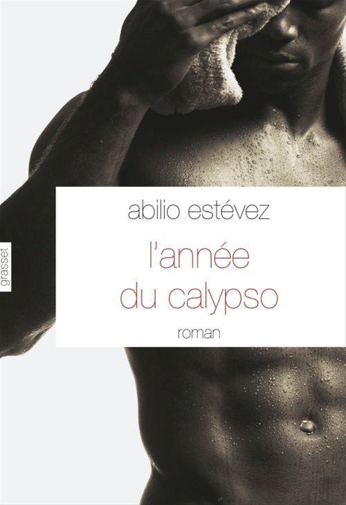 Couverture ebook de L'année du calypso, de Abilio Estévez