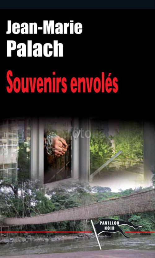ebook cover of Souvenirs envolés, by Jean-Marie Palach