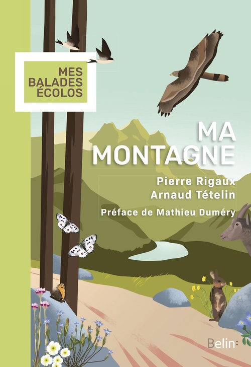 ebook cover of Ma montagne, by Mathieu Duméry, Pierre Rigaux, Arnaud Tételin