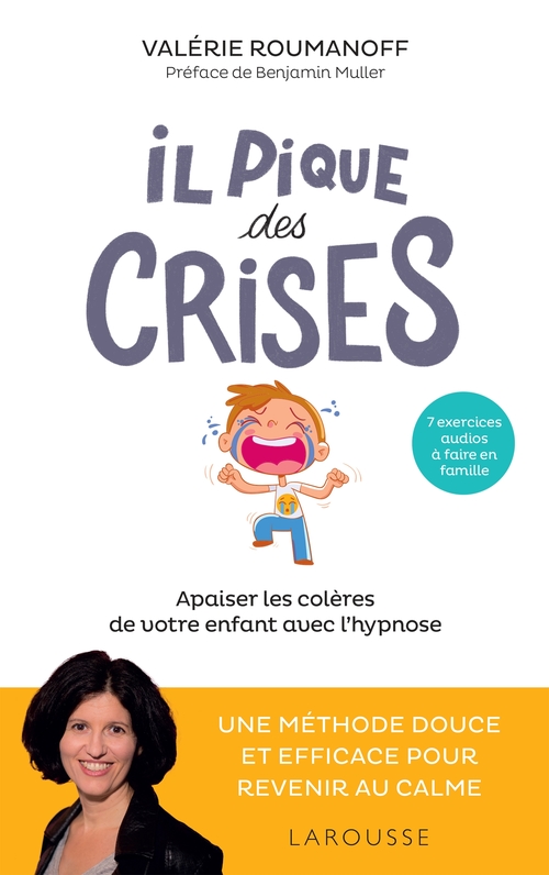 ebook cover of Il pique des crises, by Valérie Roumanoff