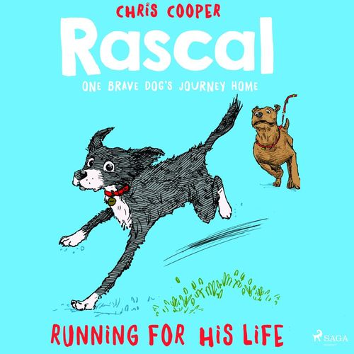 audiobook cover of Rascal 3 - Running For His Life, by Chris Cooper