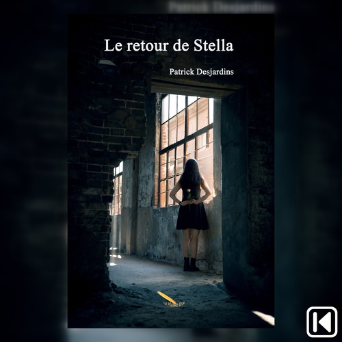 audiobook cover of Le retour de Stella, by Patrick Desjardins