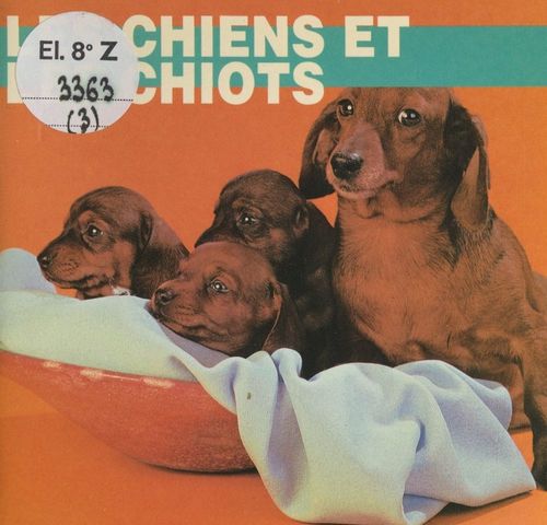 Couverture ebook de Les chiens et les chiots, de Elizabeth Elias Kaufman
