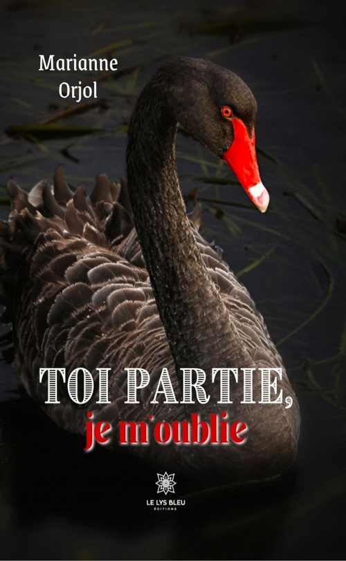 ebook cover of Toi partie, je m'oublie, by Marianne Orjol