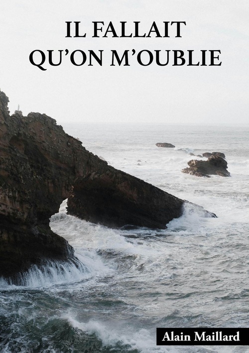 Couverture ebook de Il fallait qu'on m'oublie, de Alain Maillard
