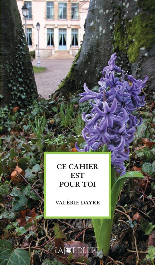 ebook cover of Ce cahier est pour toi, by Valérie Dayre