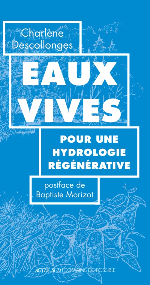 Couverture ebook de Eaux vives, de Charlène Descollonges