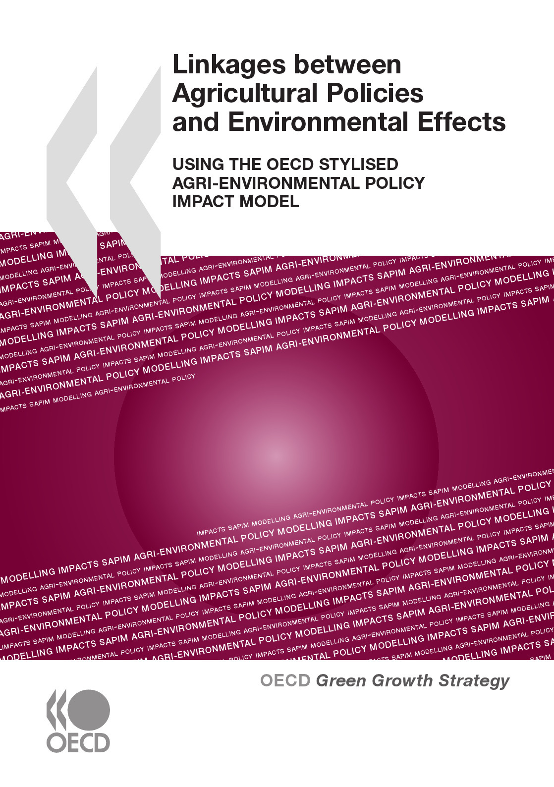 ebook cover of Linkages between Agricultural Policies and Environmental Effects, by Collective