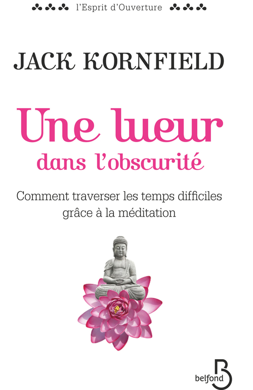 ebook cover of Une lueur dans l'obscurité, by Jack Kornfield