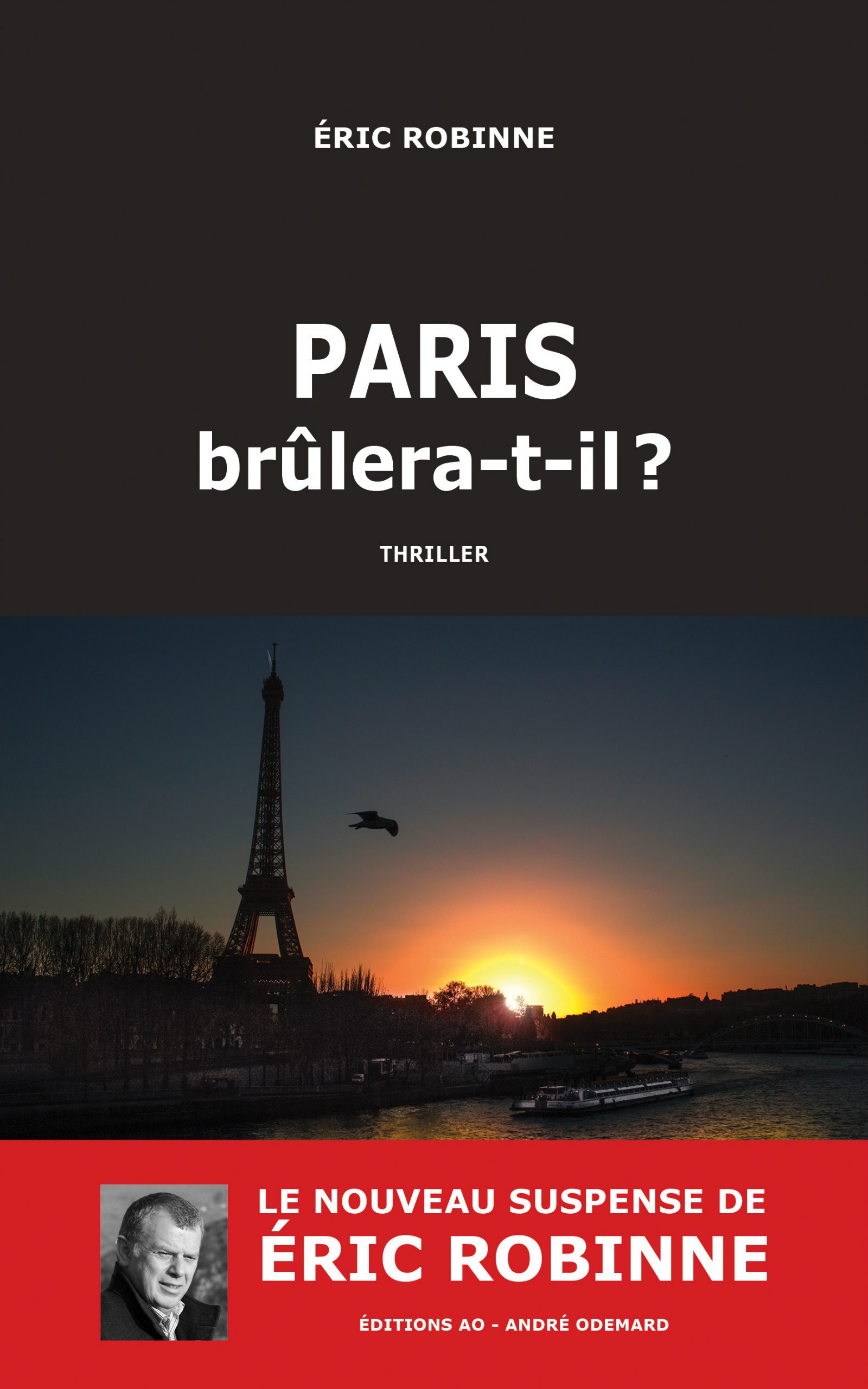 Couverture ebook de Paris brûlera-t-il ?, de Eric Robinne