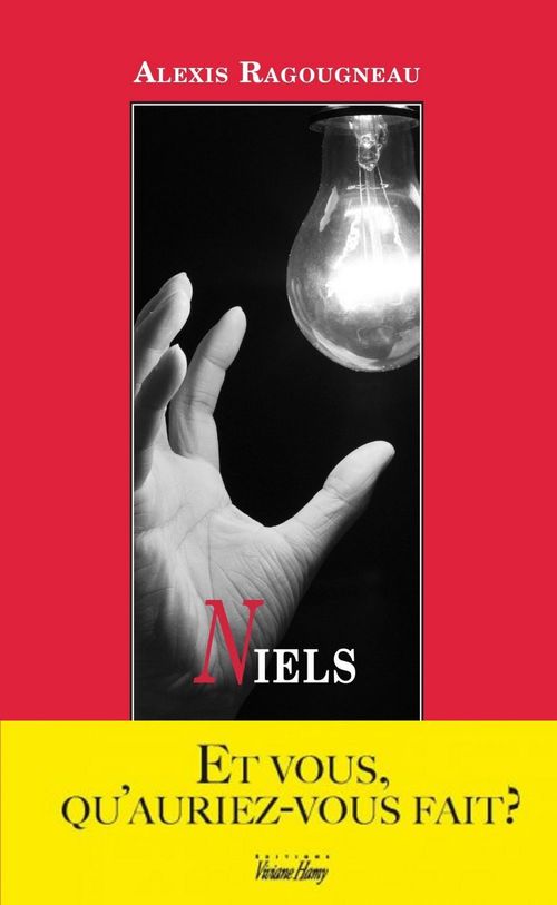 ebook cover of Niels, by Alexis Ragougneau